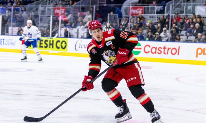 54970184743 d96af1cd94 k