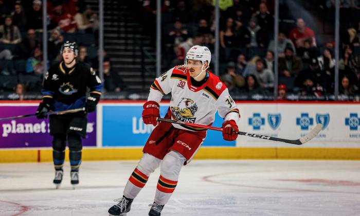 55066663954 c991aeb74b k