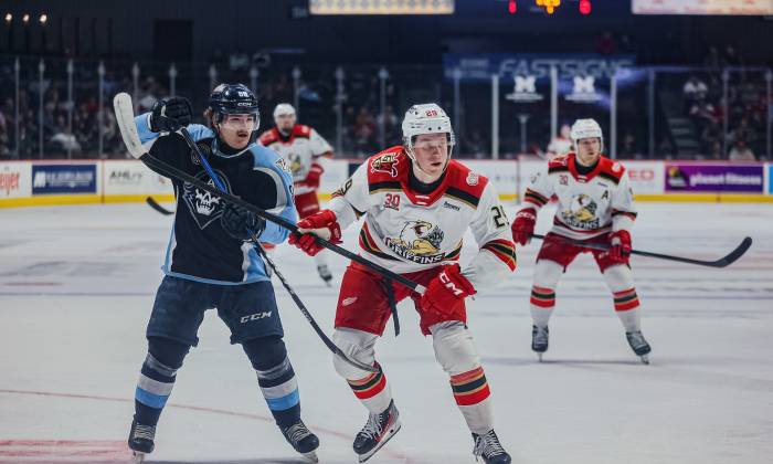 55053493812 fe3e6cf7f6 k