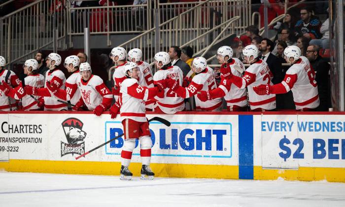 55083924183 4de3612d62 k