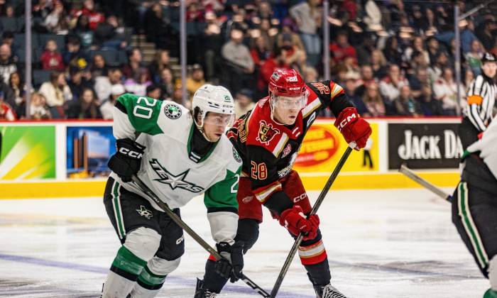 55033244555 2a311feade k