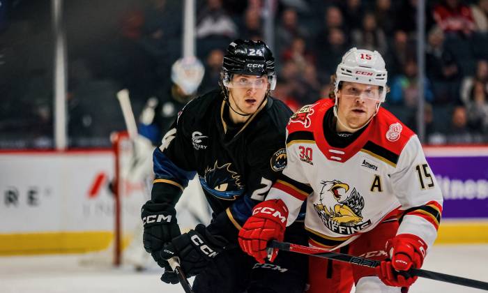 55066597303 722e8f6275 k