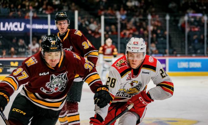 55070005465 bbc933b952 k