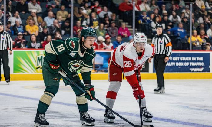 54952700233 522f8ab768 k 1