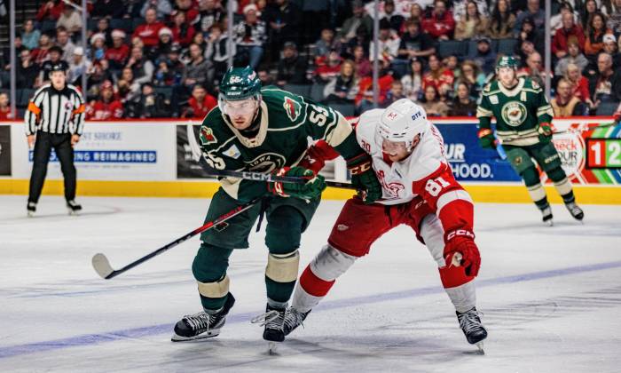 54952699978 c2523458be k