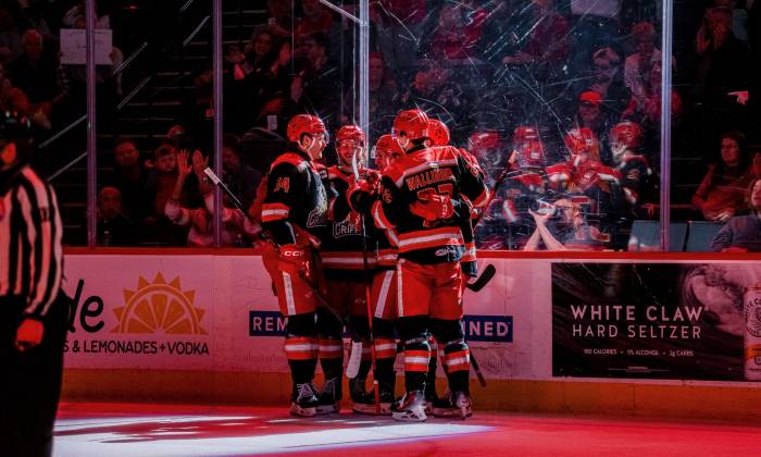 55129762234 2d1c73c9f4 k