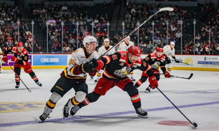 55107314793 ca9be57dbd k