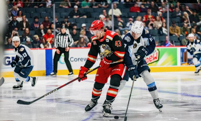 55147964601 010952c1e5 k