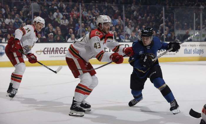 55134980425 3148a41468 k