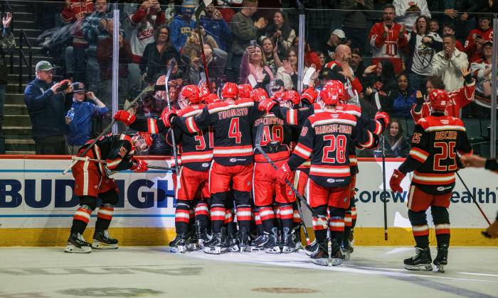 55174365058 adda025cf8 k