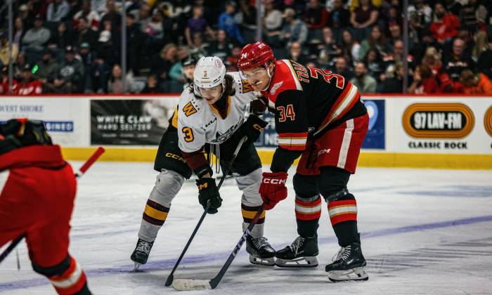 55174313359 c28edd349c k