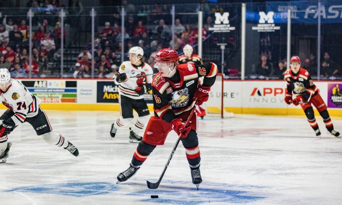 55201916299 2cc70a4c80 k