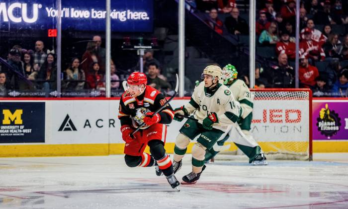 55121848819 4ba3db53ad k