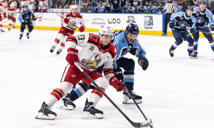 55161250625 c5cde39a11 k 1