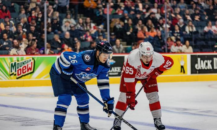 55116990340 7d141c43d3 k