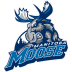 Manitoba Moose