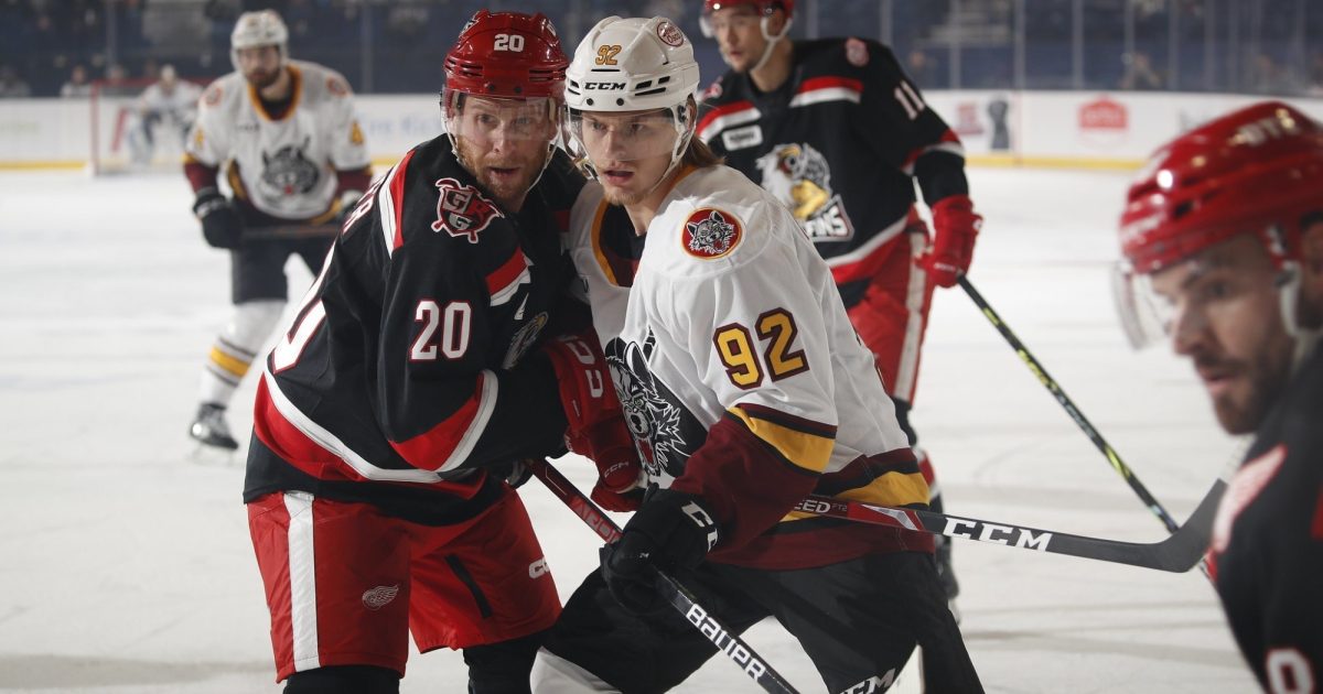 Grbp Wolves Grand Rapids Griffins | Game Notes: Griffins at Wolves - Dec. 22, 2022