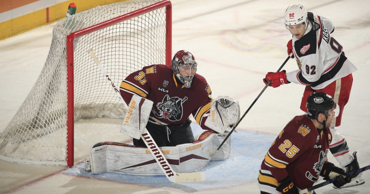 Grbp Wolves Grand Rapids Griffins | Cried Wolves