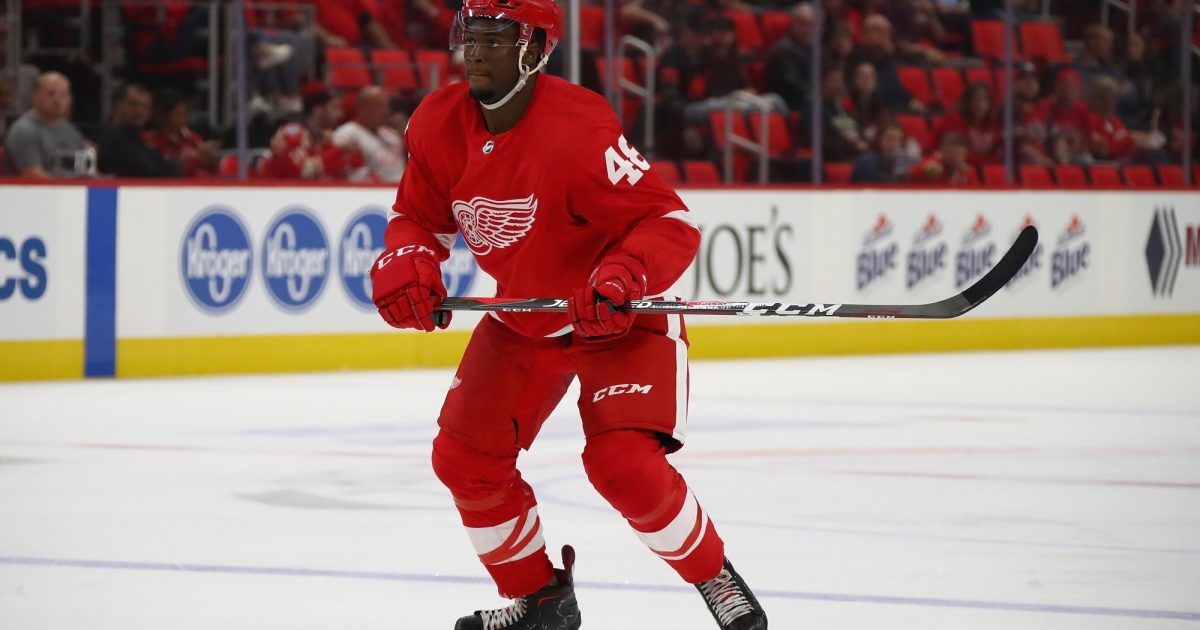 Griffin Riggins Grand Rapids Griffins | Smith and Loggins join Griffins